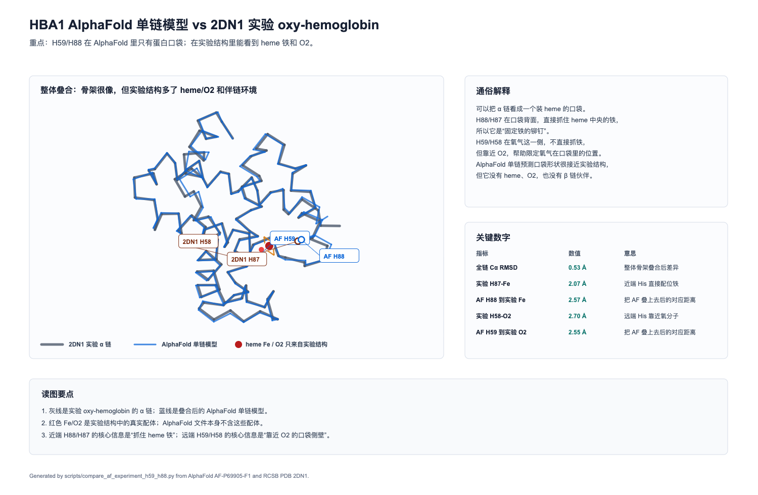 HBA1 AlphaFold versus 2DN1 experimental site comparison